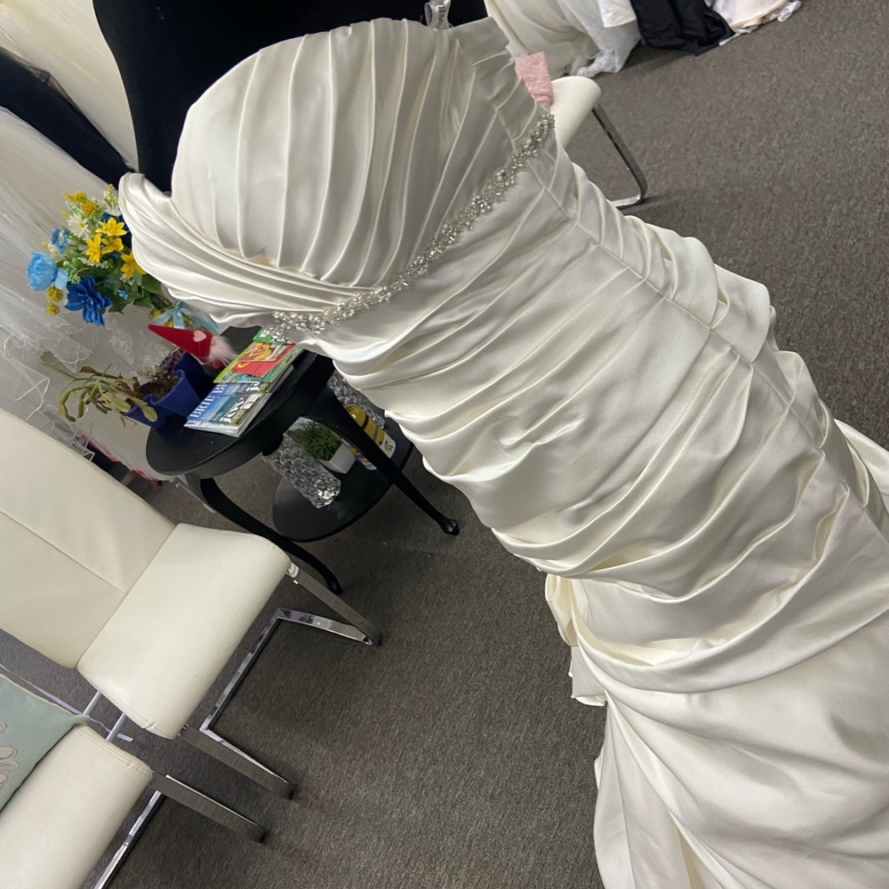 David's Bridal Elegant Cream Wedding Dress - Picture 8 of 16